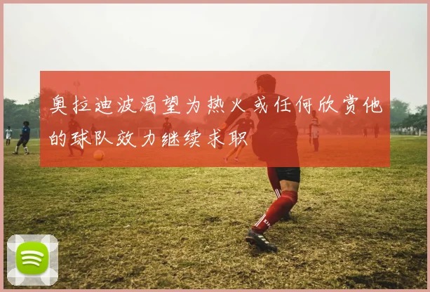 奥拉迪波渴望为热火或任何欣赏他的球队效力继续求职