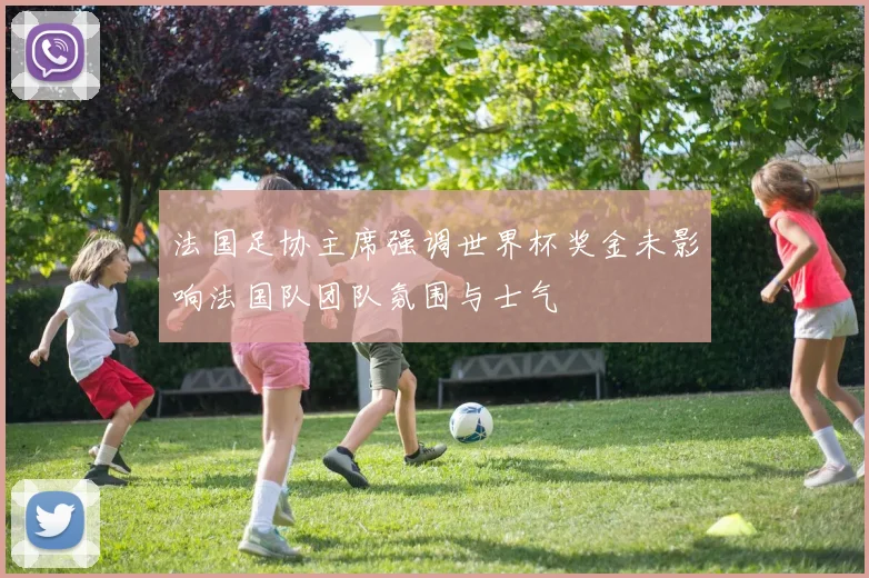 法国足协主席强调世界杯奖金未影响法国队团队氛围与士气